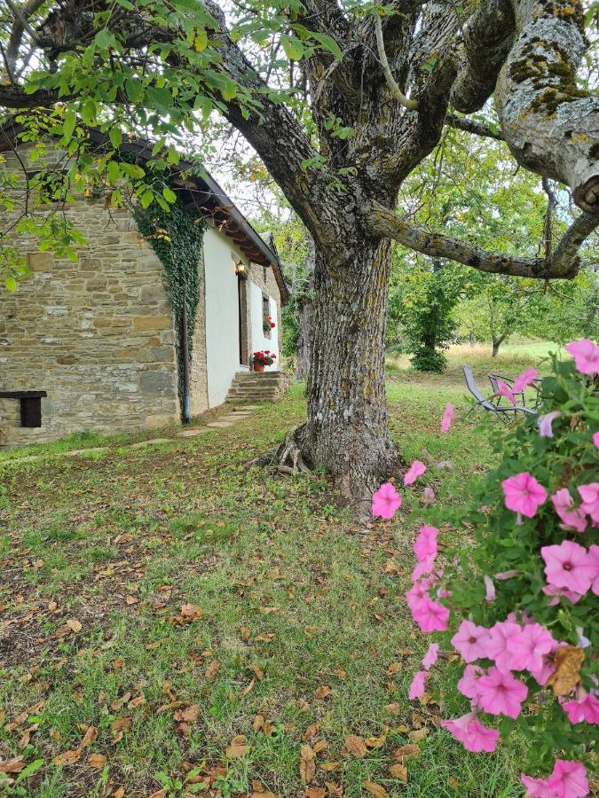 Agriturismo Il Noce D'Oro Villa Borgo Val di Taro Exterior photo
