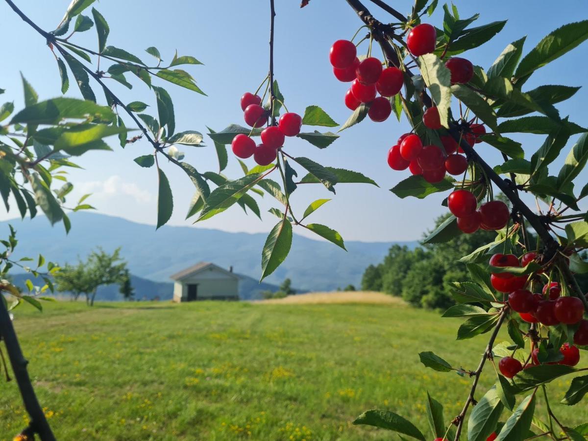 Agriturismo Il Noce D'Oro Villa Borgo Val di Taro Exterior photo
